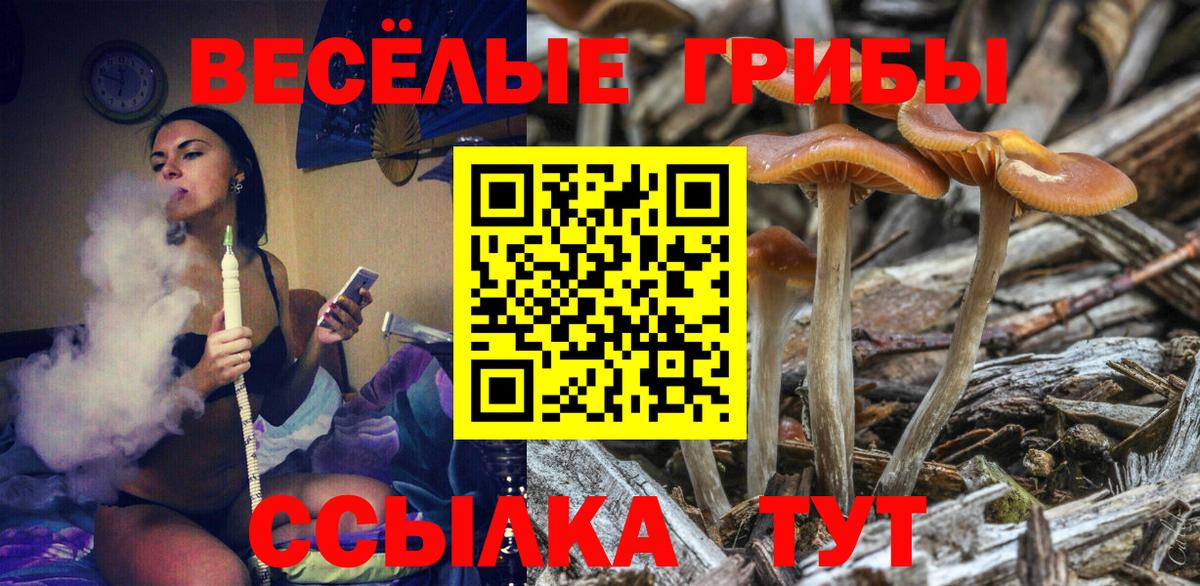 Псилоцибиновые грибы Psilocybine cubensis  даркнет сайт  Бирск  Вход с VPN 